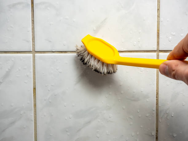 Best Health and Safety Mold Remediation in Del Mar, CA